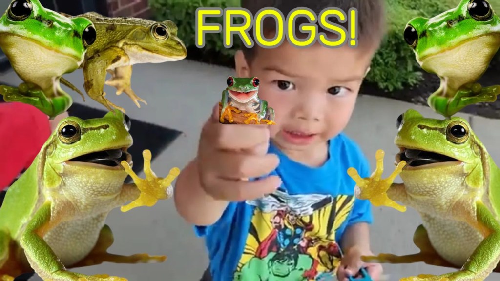 Exploring Nature with the National Geographic Bug Catching Kit for&nbsp;Kids